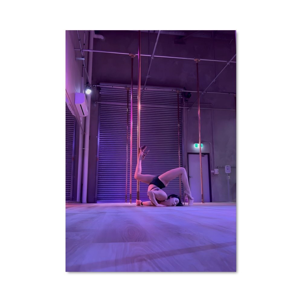 Poster Miss de pole